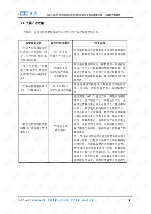 2021-2025年中国电网信息技术服务业调研与集中专一化战略分析